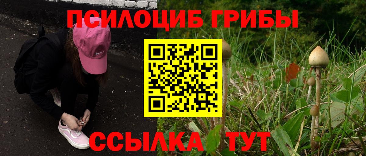 Галлюциногенные грибы мухоморы Шадринск